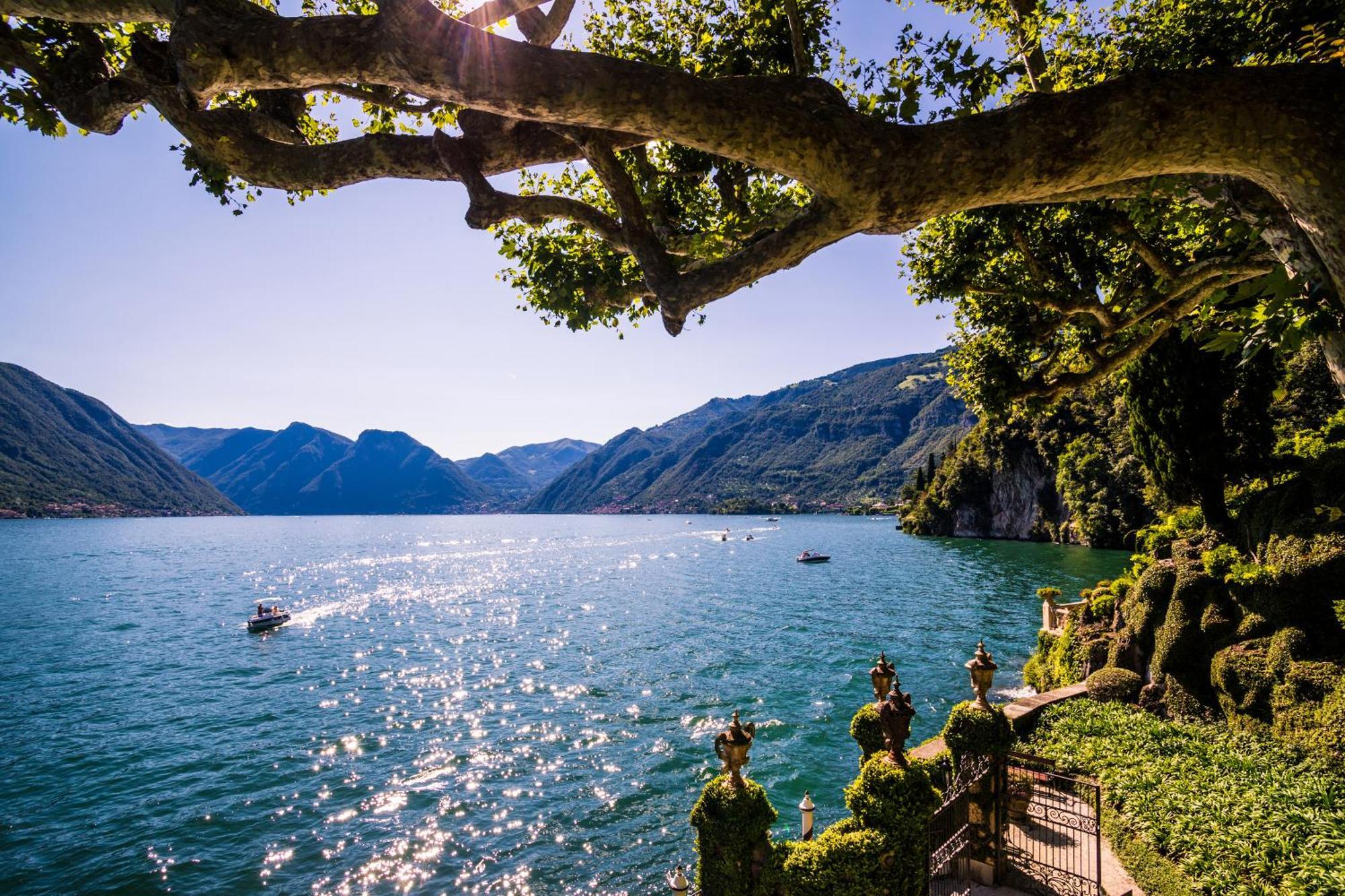 Como Lake Modern Apartament Ulivi Lägenhet Mezzegra Exteriör bild