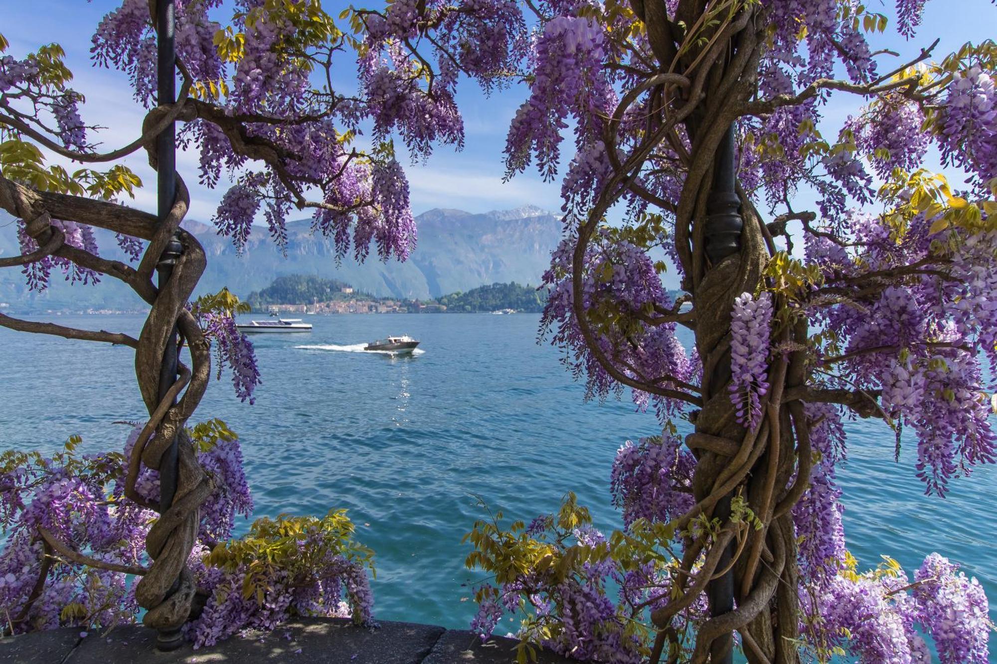 Como Lake Modern Apartament Ulivi Lägenhet Mezzegra Exteriör bild